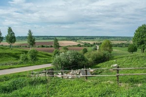 Виртуальная экскурсия «Я отсюда родом»