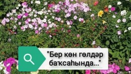 Цветочный квест