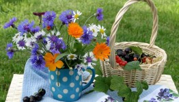 Игровая программа «Ах, лето!»