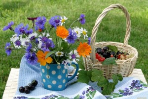 Игровая программа «Ах, лето!»