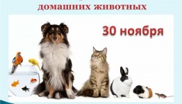 «О тех, кто рядом с нами», выставка