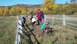 Экологический субботник«Зеленая Башкирия»
