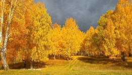 Экскурсия «Золотая осень»
