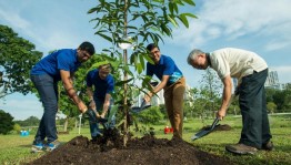 «Посади дерево»