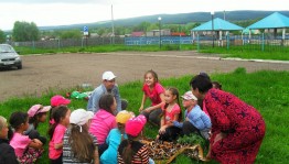 Конкурс рисунков «Лето в картинах»