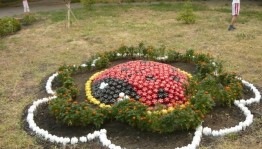 «Цветочный хоровод»