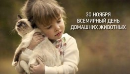 Урок доброты «Друзья наши меньшие»