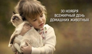 Урок доброты «Друзья наши меньшие»