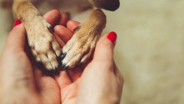 Всемирный день защиты животных