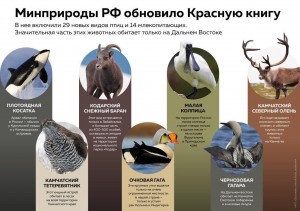 Исчезающие виды животных