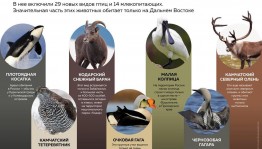Исчезающие виды животных