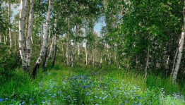 Экологический час «Мы твои друзья, природа»