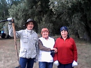 Экологическая акция «Чистый берег»