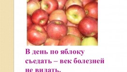 «Яблоко-символ вечной молодости и бессмертия»