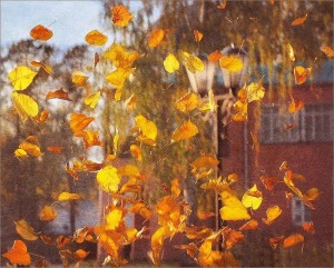 Программа «Вальс листьев»