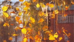 Программа «Вальс листьев»