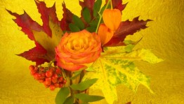 Праздник осени «Унылая пора! Очей очарования»