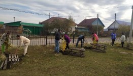 Экологическая акция «Дерево дружбы»