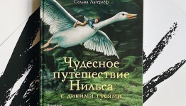 Литературная викторина «Путешествуй с Нильсом»