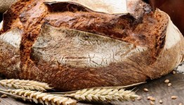 «Хлеб всему голова»