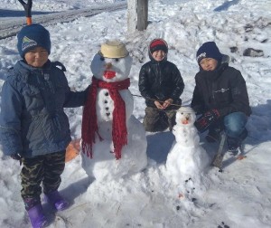 Игры «Секреты здоровья»