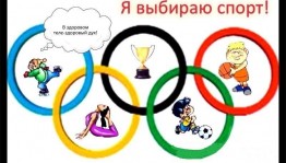 Спортивно игровая программа