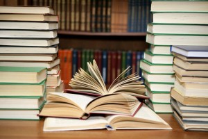Программа «Знатоки литературы»
