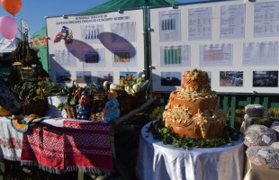Семинар «День поля – 2018» прошёл в Кармаскалинском районе