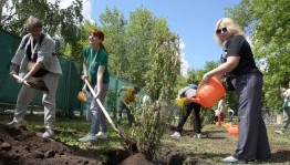 В Уфе участники XXI Фестиваля театров малых городов России посадили рябиновую аллею