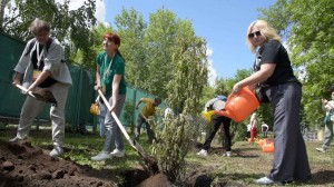 В Уфе участники XXI Фестиваля театров малых городов России посадили рябиновую аллею