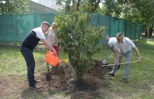 В Уфе участники XXI Фестиваля театров малых городов России посадили рябиновую аллею