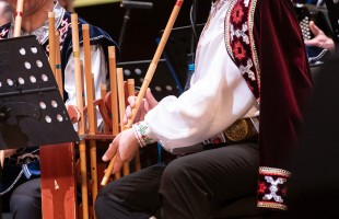 Национальный оркестр народных инструментов РБ покорил Сибирь