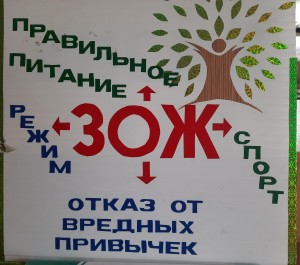 «Думайте сами–решайте сами»