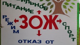 «Думайте сами–решайте сами»