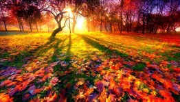 Час забав и развлечений «Как прекрасен осенний день!»