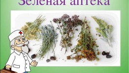 «Зеленая аптека»