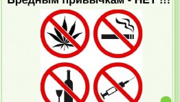 Тематическая беседа за круглым столом «Вредным привычкам - нет!»