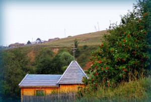 Фольклорная мозаика «Без рябины осень скучна»