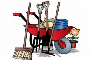 Акция «Чистый дом! Чистый двор! Чистое село!»