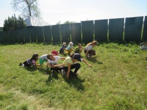 Развлекательная программа «Шип–шип Шоу!»