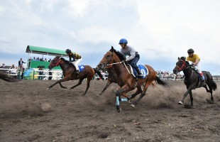 В Самарской области прошел Х Всероссийский сельский Сабантуй