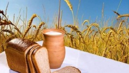 Праздничная программа«Человек славен трудом»