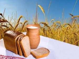 Праздничная программа«Человек славен трудом»