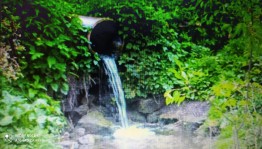 Акция«Живи,родник»