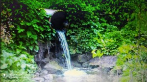 Акция«Живи,родник»