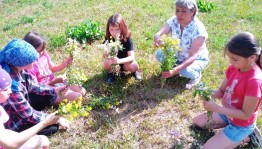 Программа«Волшебный мир цветов»