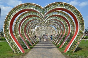 «Весеннее пробуждение»- фотоконкурс.