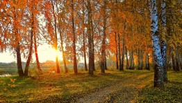 «Поход в осенний лес»