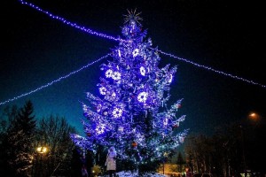 Открытие Новогоднего городка «Здравствуй елка!»