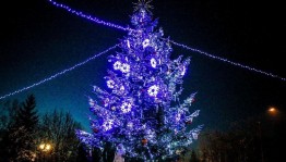 Открытие Новогоднего городка «Здравствуй елка!»